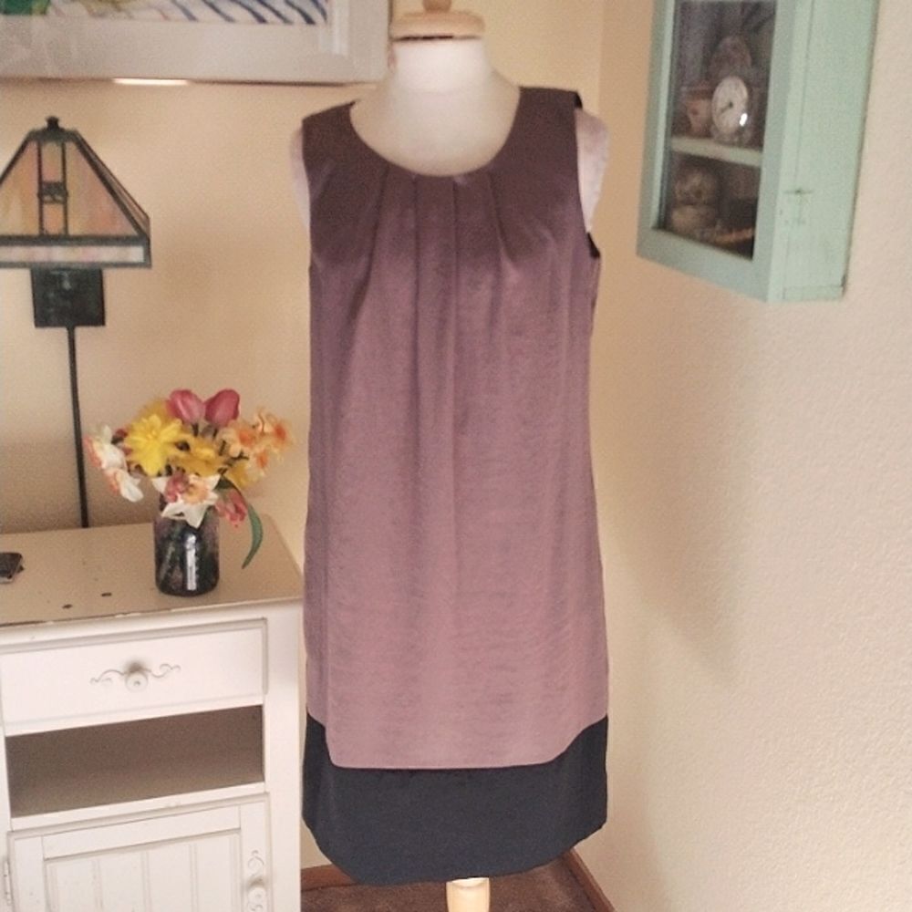 Ann Taylor Loft Shift Dress